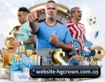 website-hgcrown.com.cn的故事